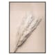 Poster Gallerix Pampas Grass