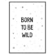 Poster Gallerix Born To Be Wild