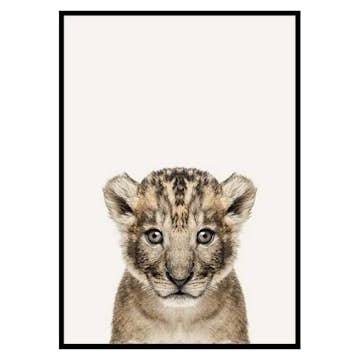 Poster Gallerix Baby Lion