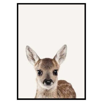 Poster Gallerix Baby Deer
