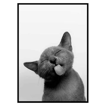 Poster Gallerix Licking Kitten