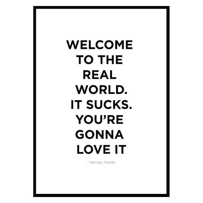 Poster Gallerix Monica Friends