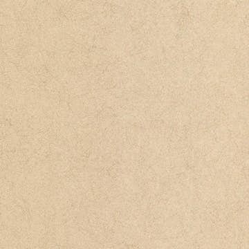 Tapet Boutique Tranquil Fiber Gold 33-343