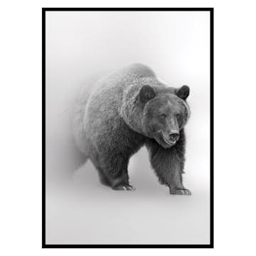 Poster Gallerix Faded Bear