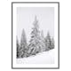 Poster Gallerix Spruce In Winter