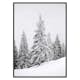 Poster Gallerix Spruce In Winter