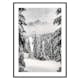 Poster Gallerix Between Spruces
