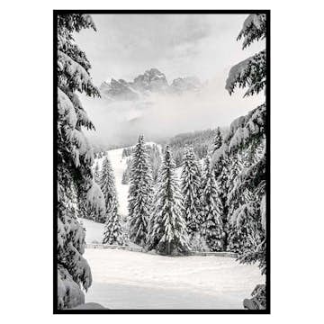 Poster Gallerix Between Spruces