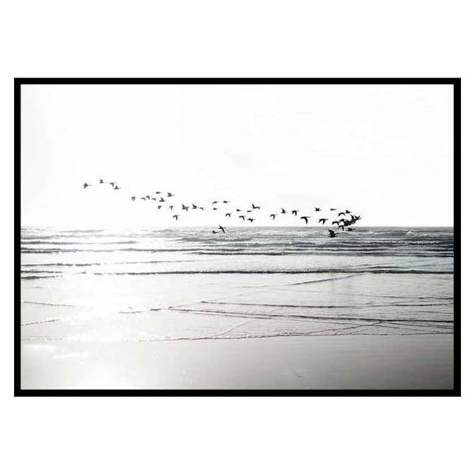 Poster Gallerix Birds Over Beach