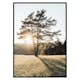 Poster Gallerix Tree in Sunlight