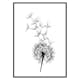 Poster Gallerix Dandelion Wish