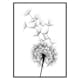 Poster Gallerix Dandelion Wish
