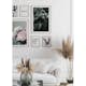 Poster Gallerix Monstera No3
