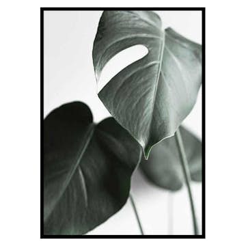 Poster Gallerix Green Leaves No1
