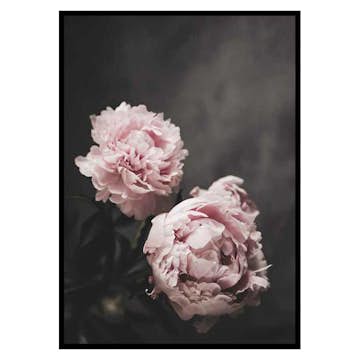 Poster Gallerix Pink peonies No2