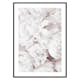 Poster Gallerix Bright Pink Roses No3