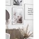 Poster Gallerix Flowering Star Magnolia