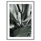 Poster Gallerix Banana Leaves No4