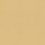 Tapet Versace IV 34327-5