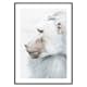 Poster Gallerix Baboon