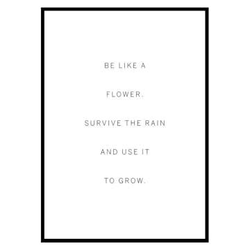 Poster Gallerix Like A Flower