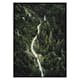 Poster Gallerix Coniferous Forest