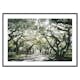 Poster Gallerix Canopy Of Trees