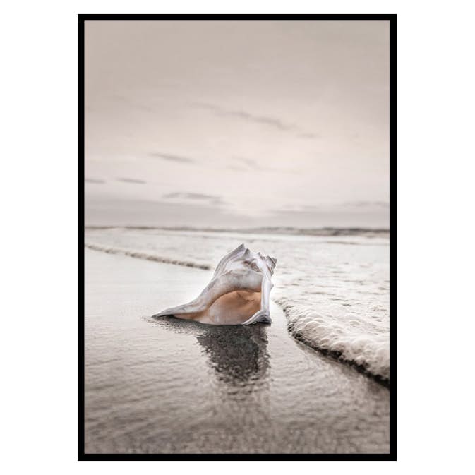 Poster Gallerix Shell On Beach