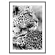 Poster Gallerix Leopard B&W