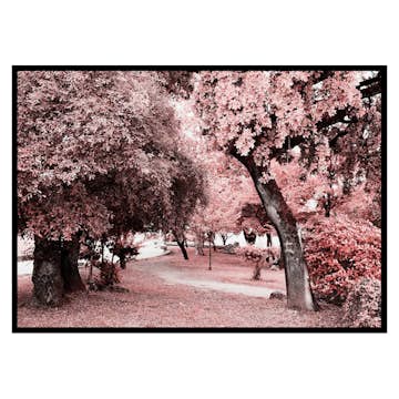 Poster Gallerix Pink Trees No1