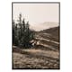 Poster Gallerix Carpathian Mountains