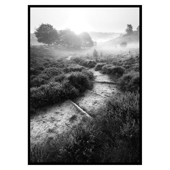 Poster Gallerix Foggy Road