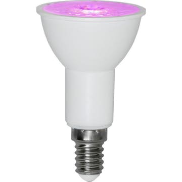 LED-lampa Star Trading E14 PAR16 PlantLigh