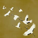 Fototapet Origin Kranfåglar Ockra