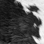 Tapet Origin XXL Kohud Look Svart/Vit