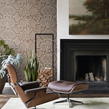 Fototapet Origin Ormskinn Brun