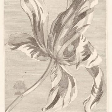 Fototapet Eijffinger Masterpiece 358117