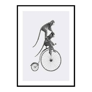 Poster Gallerix Monkeys On A Bike
