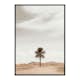 Poster Gallerix Palm Tree In Desert
