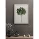 Poster Gallerix Ficus Elastica