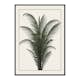 Poster Gallerix Palm Tree