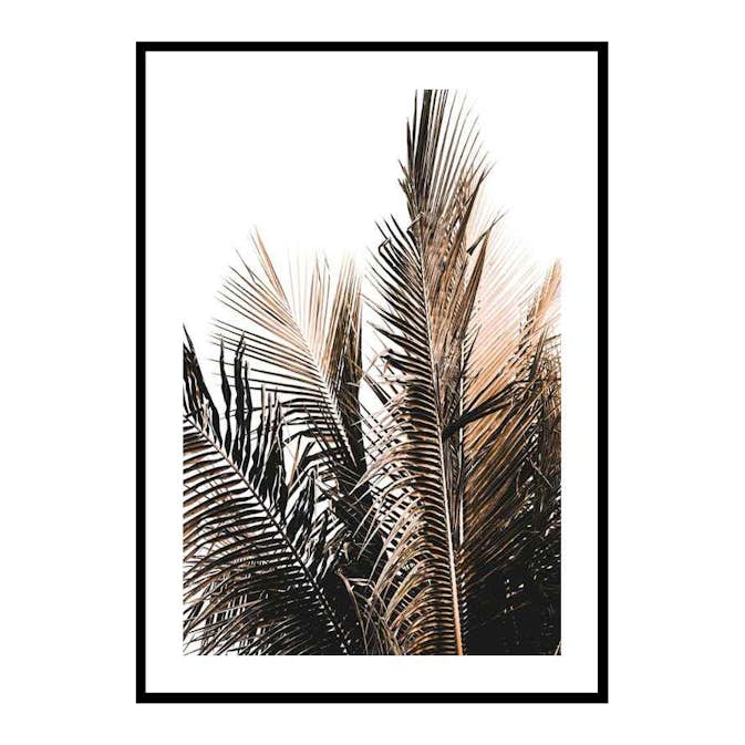 Poster Gallerix Palm Leaves