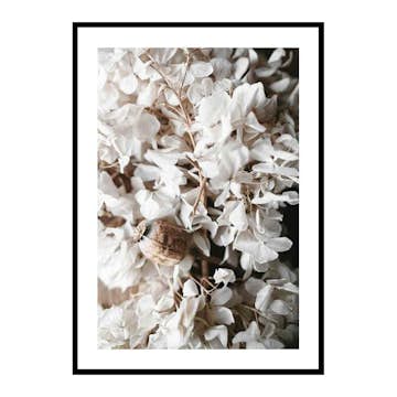 Poster Gallerix White Hydrangeas