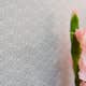 Tapet Eijffinger PIP 2016 375050