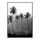 Poster Gallerix Palms