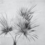 Fototapet Eijffinger Terra 391567