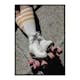 Poster Gallerix Roller Skates No4