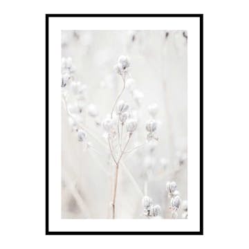 Poster Gallerix Autumn Nature