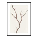 Poster Gallerix Branch