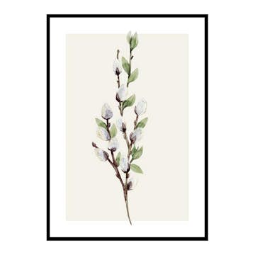 Poster Gallerix Willow Branches